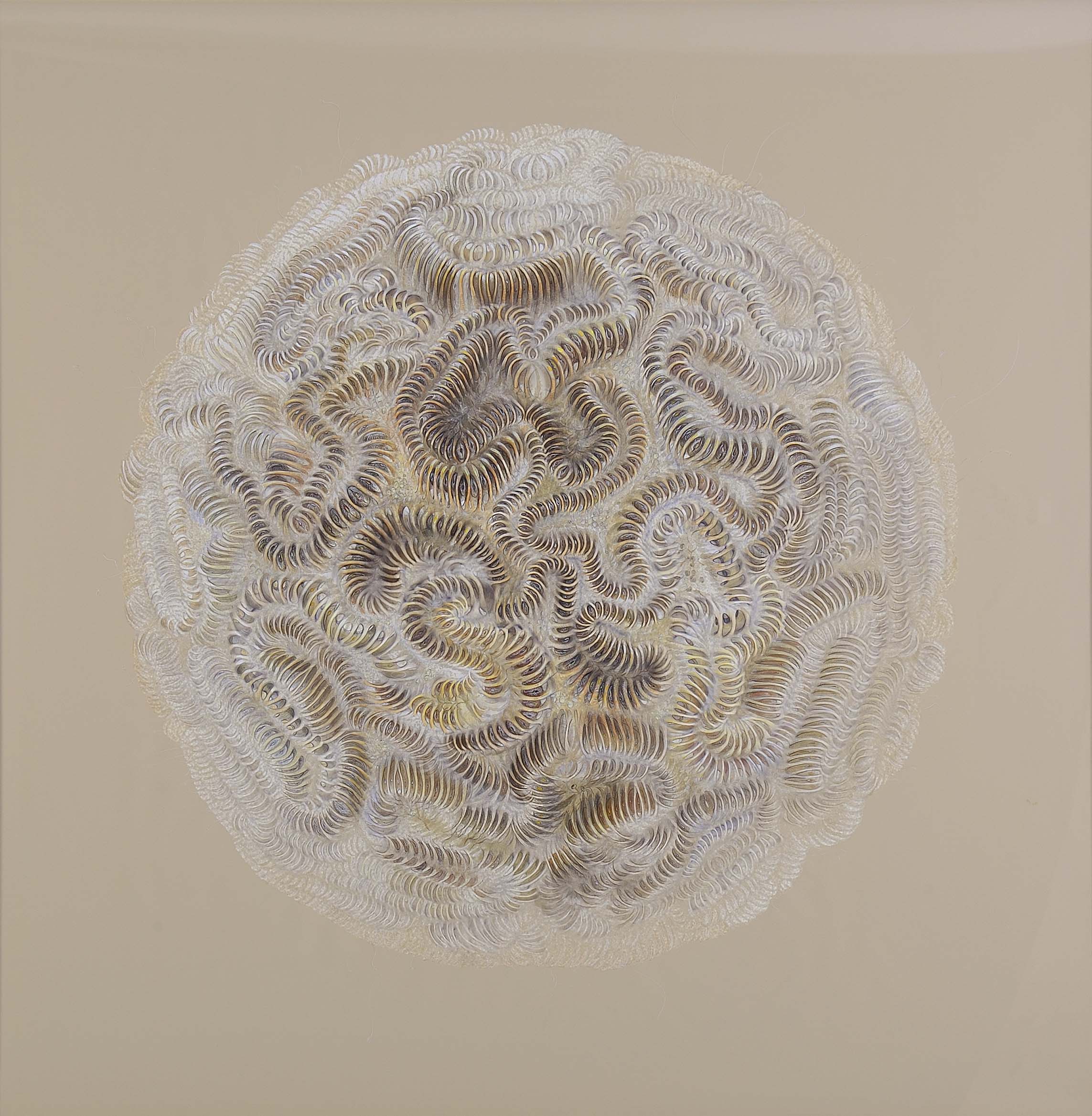 PROTEUS | colour pencil, acrylic on archival pigment print|60 x 60 inches|2011