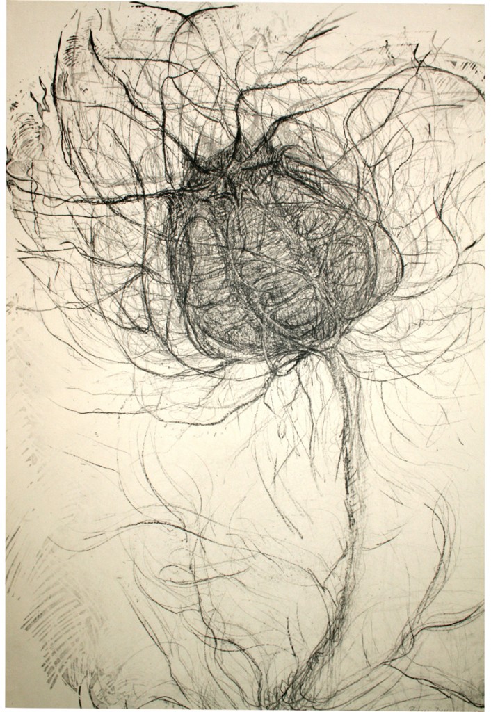 love-in-the-mist, offset lithograph 2005 (1)